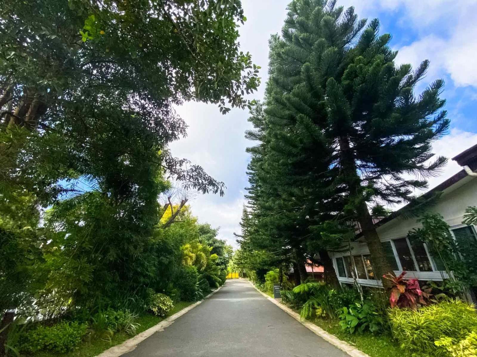Hortz Hotels And Resorts Tagaytay City ภายนอก รูปภาพ