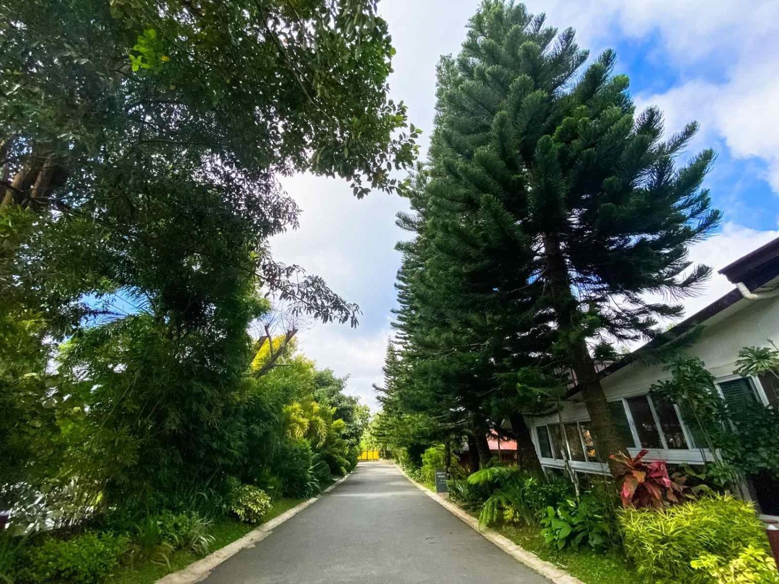 Hortz Hotels And Resorts Tagaytay City ภายนอก รูปภาพ